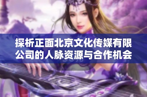 探析正面北京文化传媒有限公司的人脉资源与合作机会