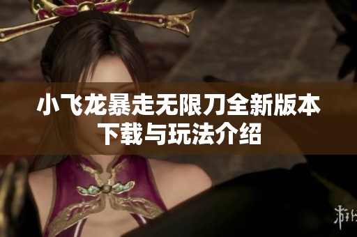 小飞龙暴走无限刀全新版本下载与玩法介绍