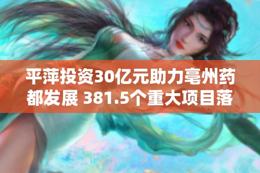 平萍投资30亿元助力亳州药都发展 381.5个重大项目落地