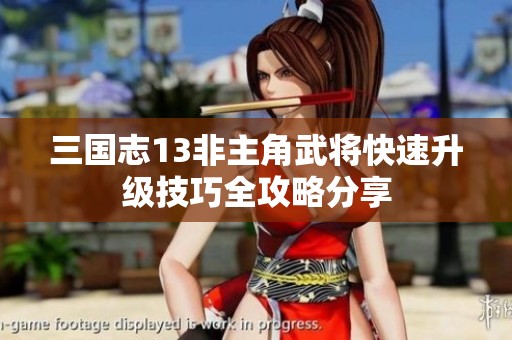 三国志13非主角武将快速升级技巧全攻略分享