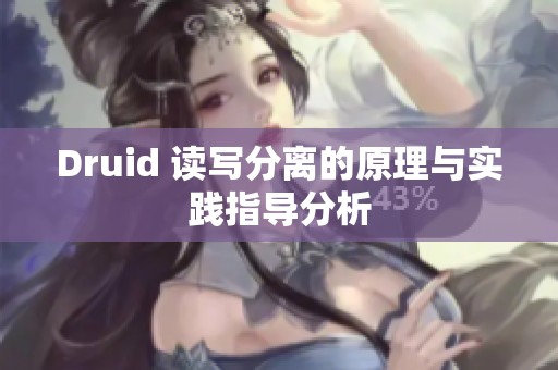 Druid 读写分离的原理与实践指导分析