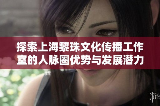 探索上海黎珠文化传播工作室的人脉圈优势与发展潜力
