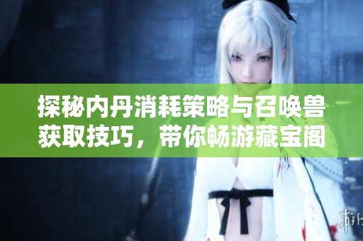 探秘内丹消耗策略与召唤兽获取技巧，带你畅游藏宝阁世界