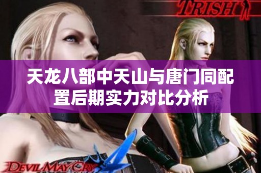 天龙八部中天山与唐门同配置后期实力对比分析