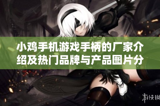 小鸡手机游戏手柄的厂家介绍及热门品牌与产品图片分享