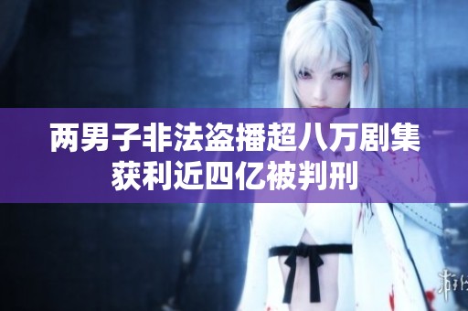 两男子非法盗播超八万剧集获利近四亿被判刑