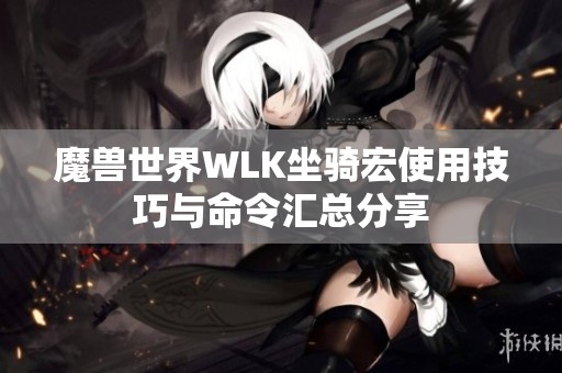 魔兽世界WLK坐骑宏使用技巧与命令汇总分享