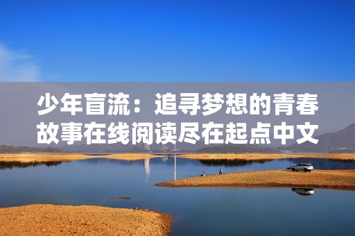 少年盲流：追寻梦想的青春故事在线阅读尽在起点中文网