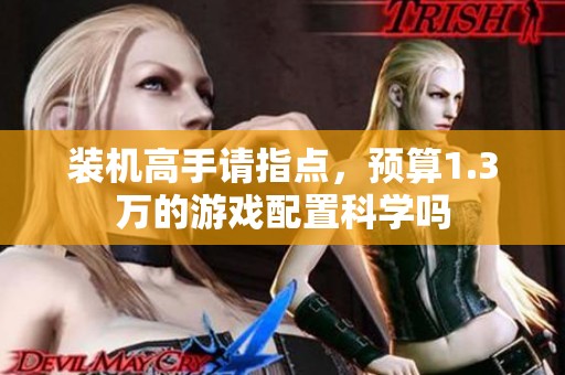 装机高手请指点，预算1.3万的游戏配置科学吗