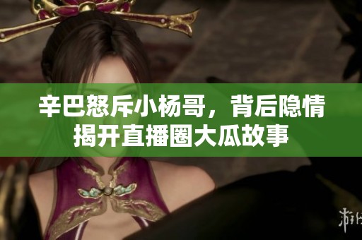 辛巴怒斥小杨哥，背后隐情揭开直播圈大瓜故事