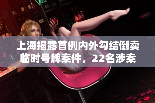 上海揭露首例内外勾结倒卖临时号牌案件，22名涉案人员被捕