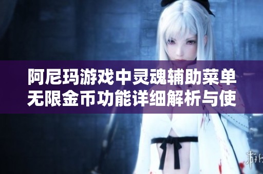 阿尼玛游戏中灵魂辅助菜单无限金币功能详细解析与使用指南