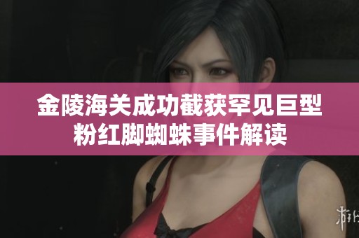 金陵海关成功截获罕见巨型粉红脚蜘蛛事件解读