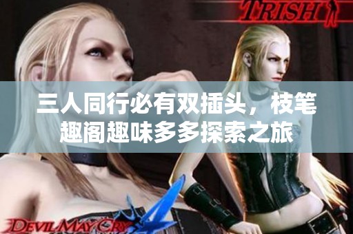 三人同行必有双插头，枝笔趣阁趣味多多探索之旅