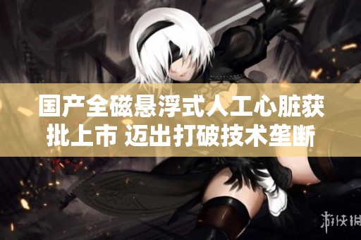 国产全磁悬浮式人工心脏获批上市 迈出打破技术垄断的重要一步
