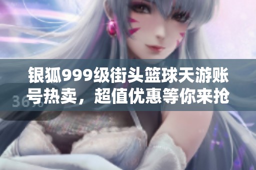 银狐999级街头篮球天游账号热卖，超值优惠等你来抢购