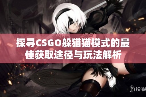 探寻CSGO躲猫猫模式的最佳获取途径与玩法解析