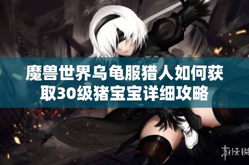 魔兽世界乌龟服猎人如何获取30级猪宝宝详细攻略