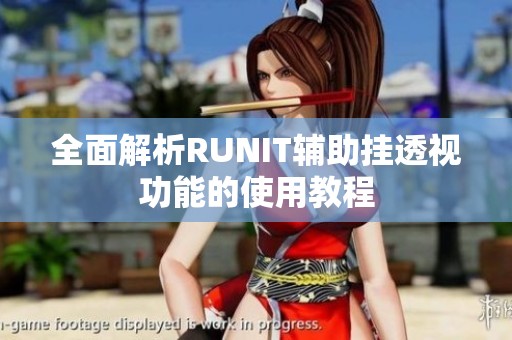 全面解析RUNIT辅助挂透视功能的使用教程