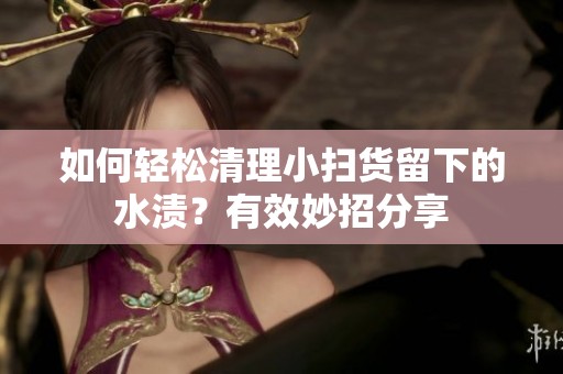 如何轻松清理小扫货留下的水渍？有效妙招分享