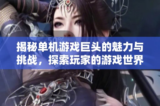揭秘单机游戏巨头的魅力与挑战，探索玩家的游戏世界