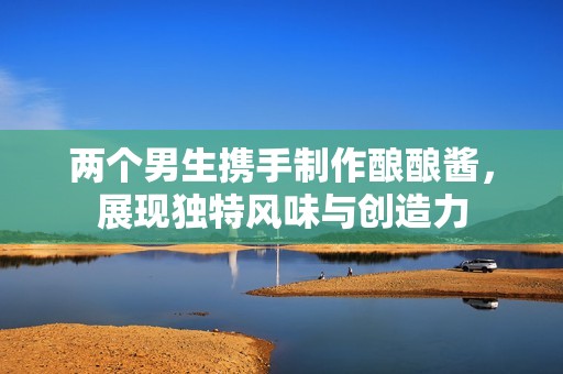 两个男生携手制作酿酿酱，展现独特风味与创造力