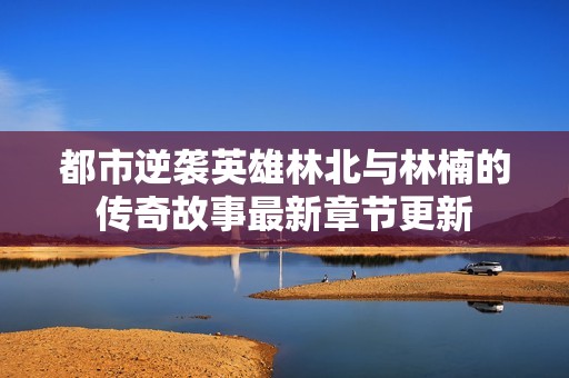 都市逆袭英雄林北与林楠的传奇故事最新章节更新