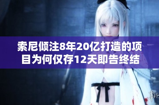 索尼倾注8年20亿打造的项目为何仅存12天即告终结