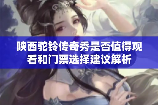 陕西驼铃传奇秀是否值得观看和门票选择建议解析