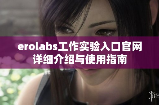 erolabs工作实验入口官网详细介绍与使用指南