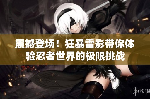 震撼登场！狂暴雷影带你体验忍者世界的极限挑战