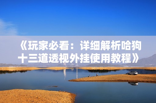 《玩家必看：详细解析哈狗十三道透视外挂使用教程》