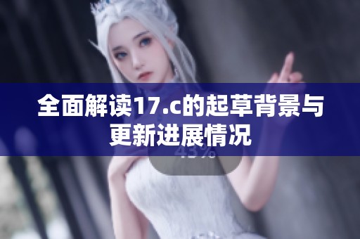 全面解读17.c的起草背景与更新进展情况