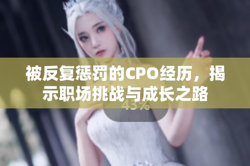 被反复惩罚的CPO经历，揭示职场挑战与成长之路