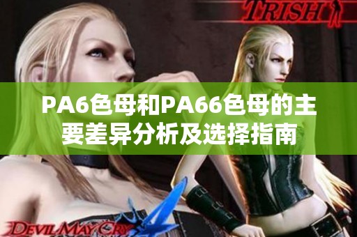 PA6色母和PA66色母的主要差异分析及选择指南