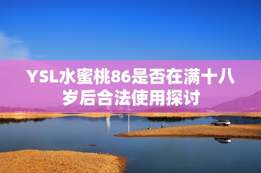 YSL水蜜桃86是否在满十八岁后合法使用探讨