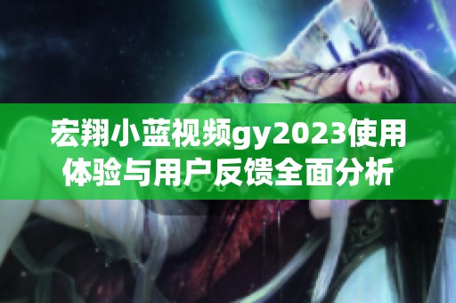 宏翔小蓝视频gy2023使用体验与用户反馈全面分析