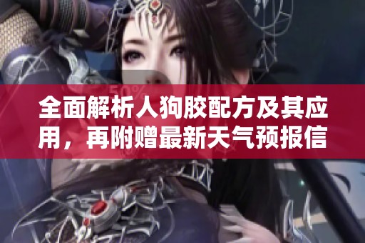 全面解析人狗胶配方及其应用，再附赠最新天气预报信息
