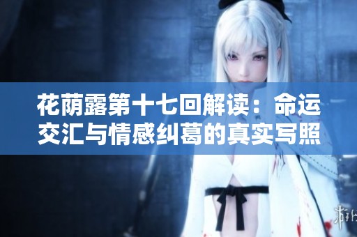 花荫露第十七回解读：命运交汇与情感纠葛的真实写照
