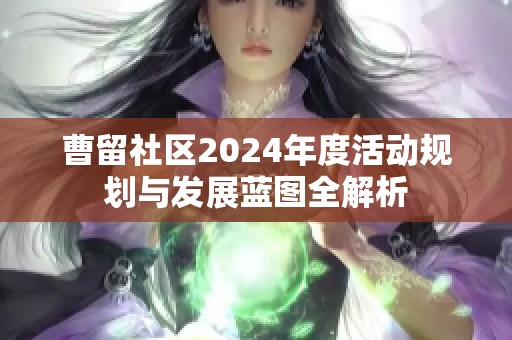 曹留社区2024年度活动规划与发展蓝图全解析