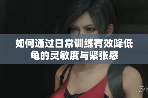 如何通过日常训练有效降低龟的灵敏度与紧张感