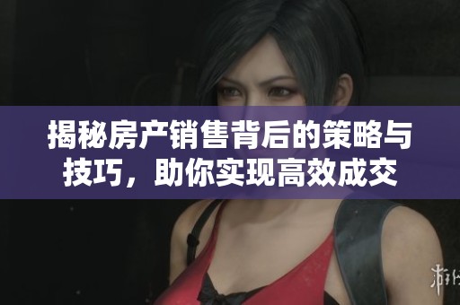揭秘房产销售背后的策略与技巧，助你实现高效成交