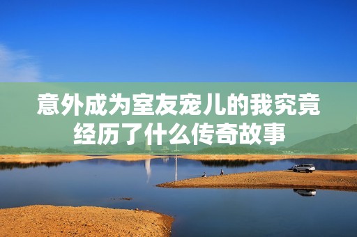 意外成为室友宠儿的我究竟经历了什么传奇故事