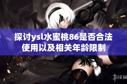 探讨ysl水蜜桃86是否合法使用以及相关年龄限制