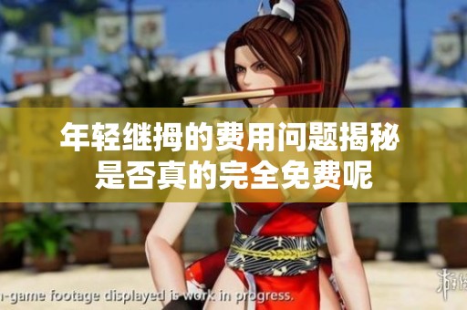 年轻继拇的费用问题揭秘 是否真的完全免费呢