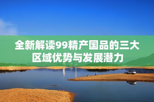 全新解读99精产国品的三大区域优势与发展潜力
