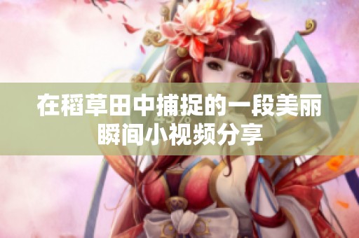 在稻草田中捕捉的一段美丽瞬间小视频分享