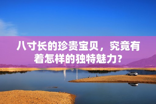 八寸长的珍贵宝贝，究竟有着怎样的独特魅力？