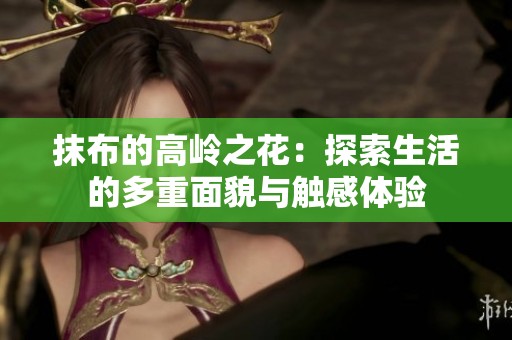 抹布的高岭之花：探索生活的多重面貌与触感体验