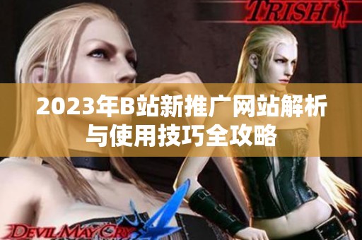 2023年B站新推广网站解析与使用技巧全攻略